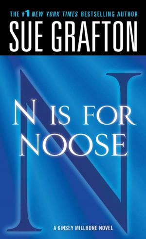 Cover of the book "N" is for Noose by Ellis Drake
