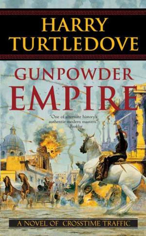 Cover of the book Gunpowder Empire by Madeleine E. Robins