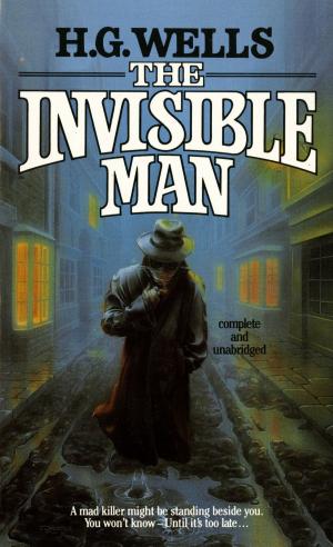 Cover of the book The Invisible Man by Michael Norman, Beth Scott