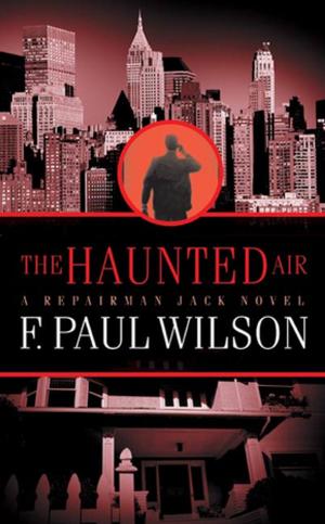 Cover of the book The Haunted Air by Kij Johnson