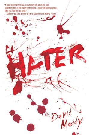 Cover of the book Hater by Lisa Vandiver