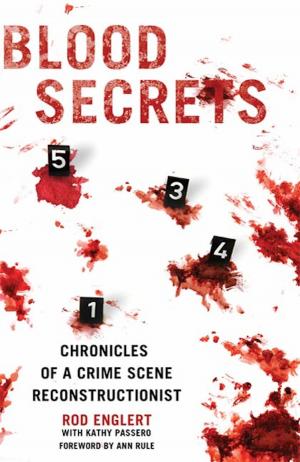 Cover of the book Blood Secrets by Tiffany Clare