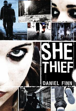 Cover of the book She Thief by Ann Aguirre, Gennifer Albin, Leigh Bardugo, Michael Grant, Katherine Applegate, Lish McBride, Marissa Meyer, Gabrielle Zevin