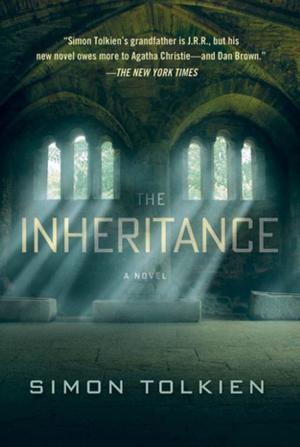 Cover of the book The Inheritance by Amir Ahmad Nasr