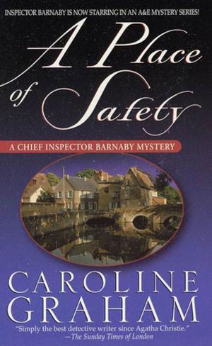 Cover of the book A Place of Safety by Roger Priddy