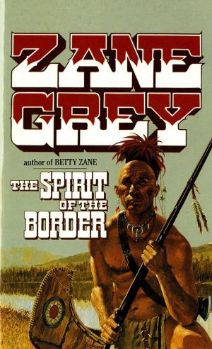 Cover of the book The Spirit of the Border by Rhiannon Held
