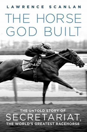 Cover of the book The Horse God Built by Stephen D. Solomon