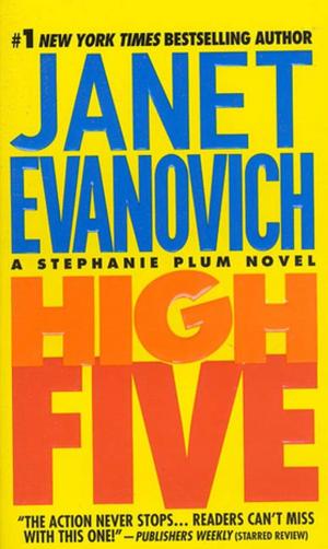 Cover of the book High Five by Brenda Margriet