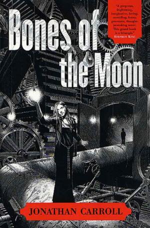 Cover of the book Bones of the Moon by Misha Lace
