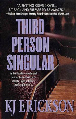 Cover of the book Third Person Singular by Brian Freemantle