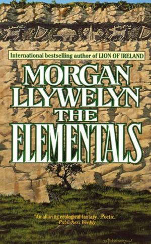 Cover of the book The Elementals by L. E. Modesitt Jr.