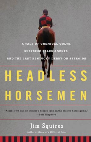 Book cover of Headless Horsemen