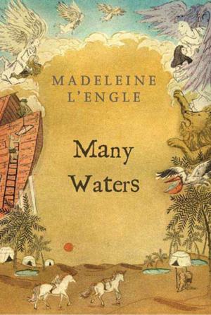 Cover of the book Many Waters by Michael P. Spradlin