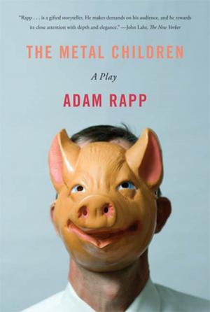 Book cover of The Metal Children
