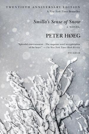 Cover of the book Smilla's Sense of Snow by Alice Duncan