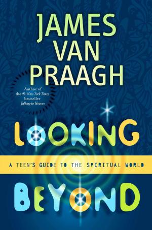 Book cover of Looking Beyond