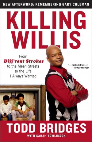 Book cover of Killing Willis