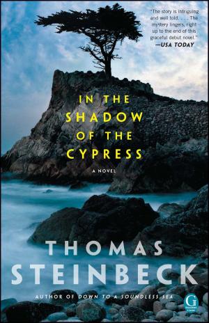 Cover of the book In the Shadow of the Cypress by Tory Cates