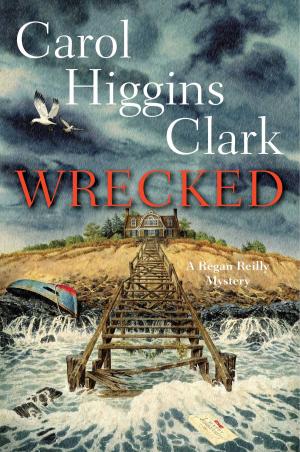 Cover of the book Wrecked by James Boice