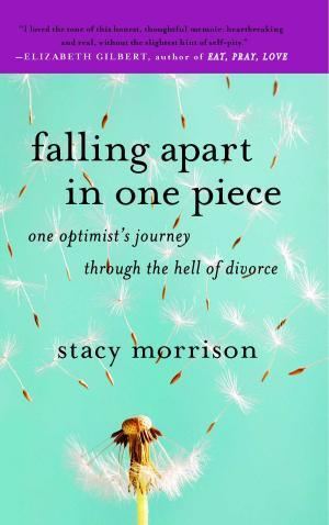 Cover of the book Falling Apart in One Piece by RM Johnson