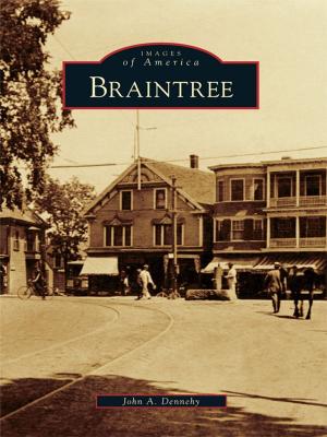 Cover of the book Braintree by M.B. Moshe