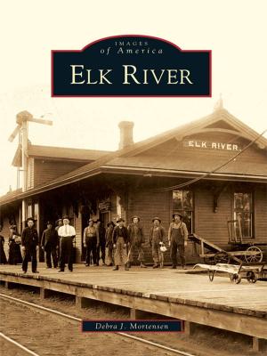 Cover of the book Elk River by Donovin Sprague