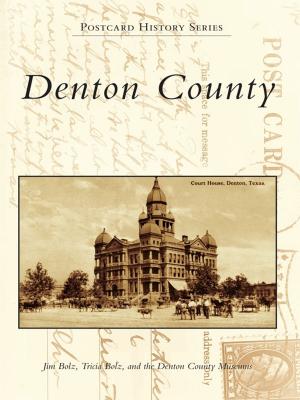 Cover of the book Denton County by Tim Rowland