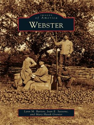 Cover of the book Webster by Carola DeRooy, Dewey Livingston