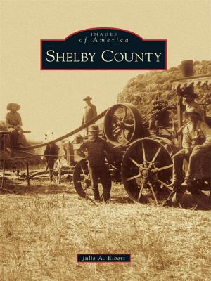 Cover of the book Shelby County by Arva Moore Parks, Bo Bennett