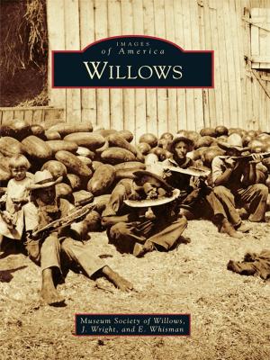 Cover of the book Willows by Francisco E. Balderrama, Richard A. Santillan