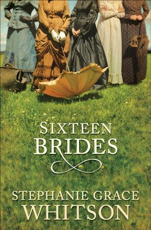 Cover of the book Sixteen Brides by R. J. Larson