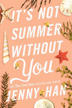 Cover of the book It's Not Summer Without You by Ellen Wittlinger