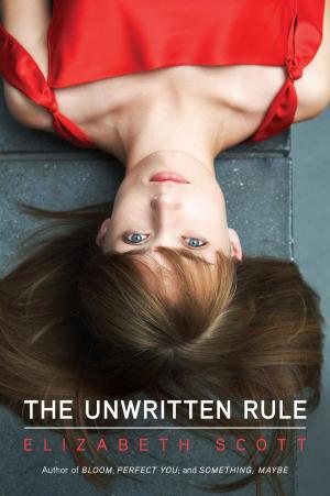 Cover of the book The Unwritten Rule by Robert Muchamore