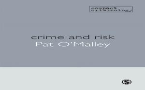 Cover of the book Crime and Risk by Wallace V. Schmidt, Roger N. Conaway, Susan S. Easton, William J. Wardrope