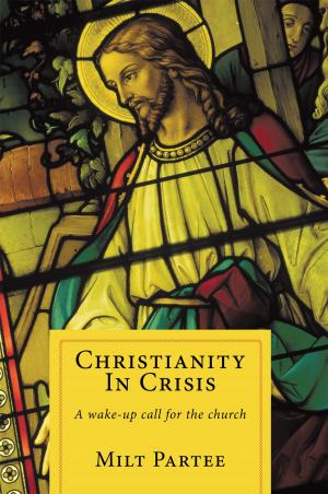 bigCover of the book Christianity in Crisis by 