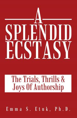 Cover of the book A Splendid Ecstasy by Sasha Lessin, Janet Kira Lessin