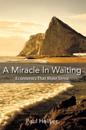 Cover of the book A Miracle in Waiting by MICHAEL JEAN NYSTROM-SCHUT