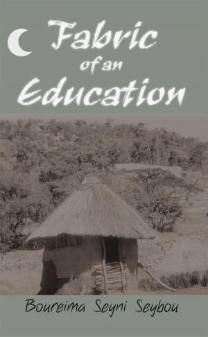 Cover of the book Fabric of an Education by Stan L. Zieve