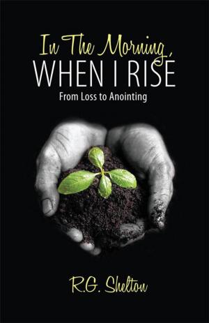 Cover of the book In the Morning, When I Rise by Bruce Sherbourne