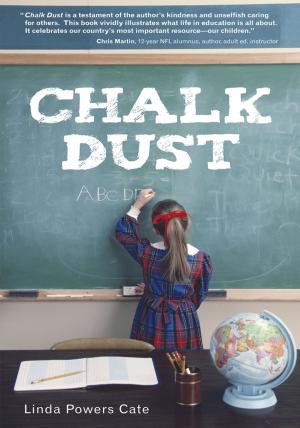 Cover of the book Chalk Dust by Robert D Halpert