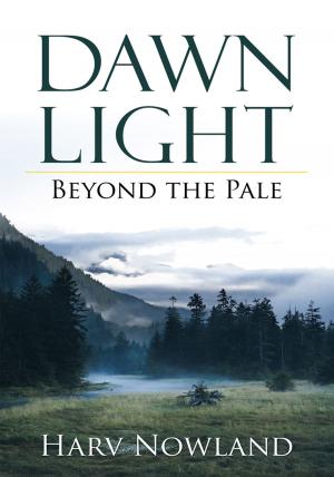 Cover of the book Dawn Light by Daniel Farey