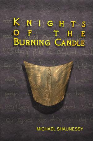 Cover of the book Knights of the Burning Candle by Sandra Agwu