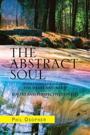 Cover of the book The Abstract Soul by maximQuirk
