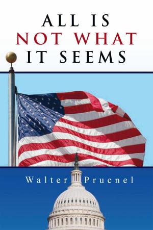 Cover of the book All Is Not What It Seems by Bryan Lambert
