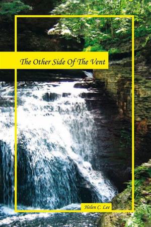 bigCover of the book The Other Side of the Vent by 