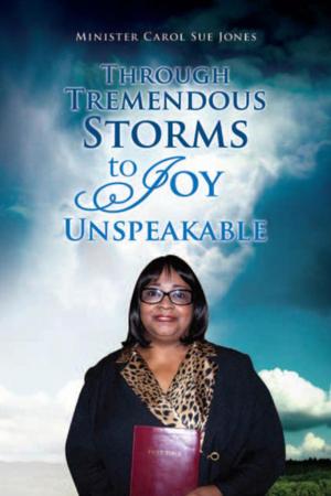 Cover of the book Through Tremendous Storms to Joy Unspeakable by David Heller Ph.D.