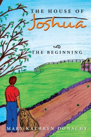 Cover of the book The House of Joshua by Joyce Hoffman