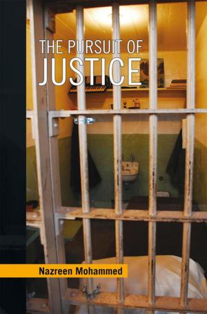 Cover of the book The Pursuit of Justice by Catherine Grace Newkerk
