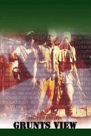 Cover of the book Grunts View by John-Clinton Nsengiyumva