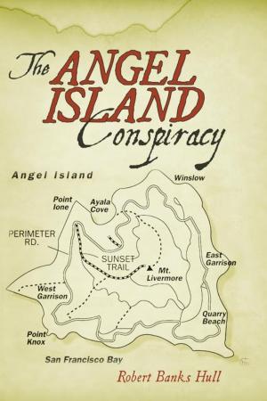 Cover of the book The Angel Island Conspiracy by Aiken A. Brown